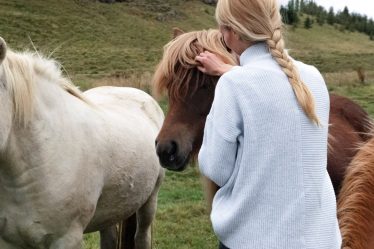 Horse Adoption